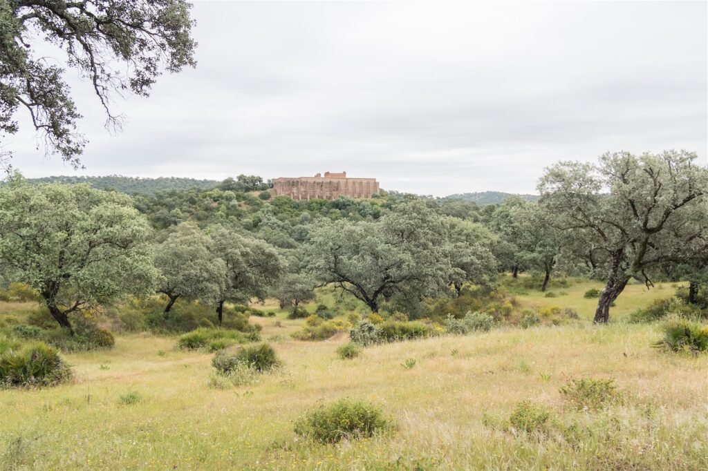 Castillo que se ve a lo lejos